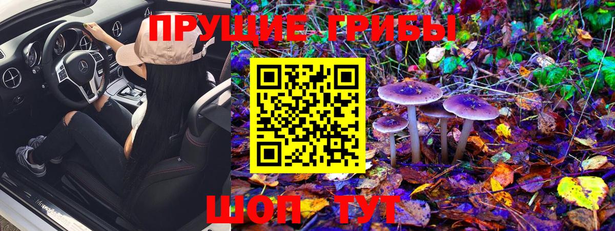 Зеленогорск  Конопля  COCAIN  Вход с VPN  МЕФ кристаллы  ГАШ 