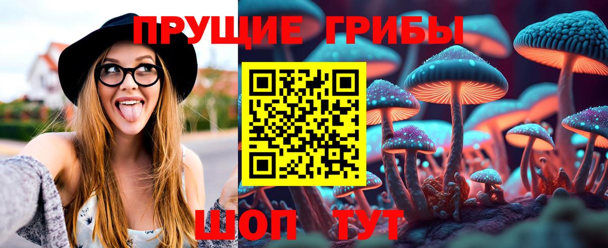 Псилоцибиновые грибы ЛСД Зеленогорск