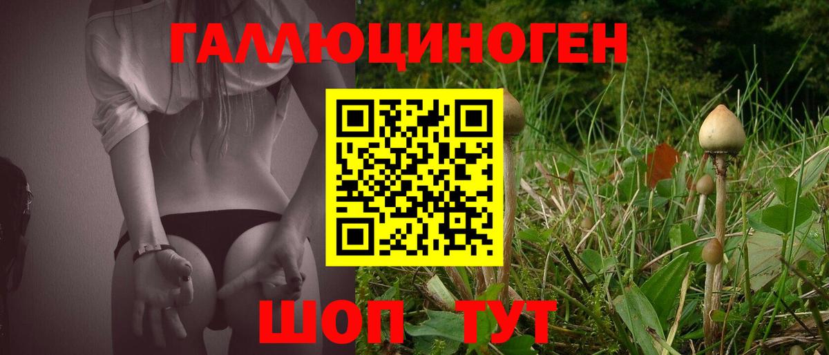 Зеленогорск  Псилоцибиновые грибы мицелий  Вход с VPN 